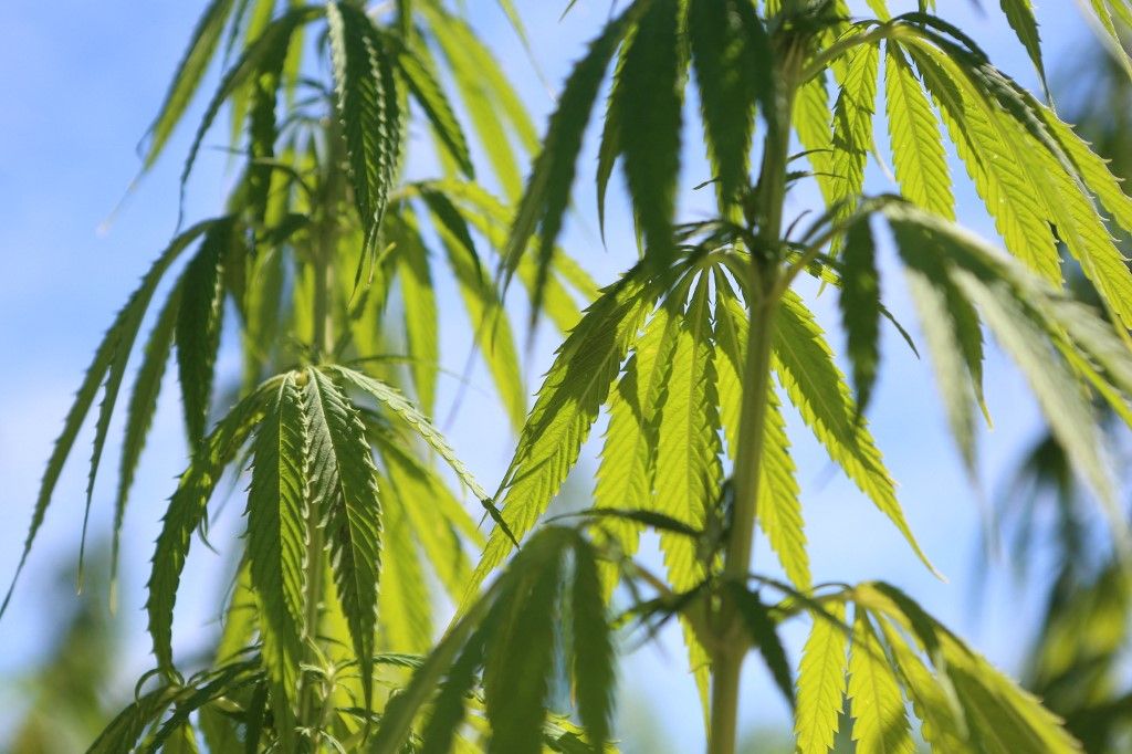 Les Algériens en situation OQTF sans retour depuis mars 2025 : Laurent Nuñez promet une résolution