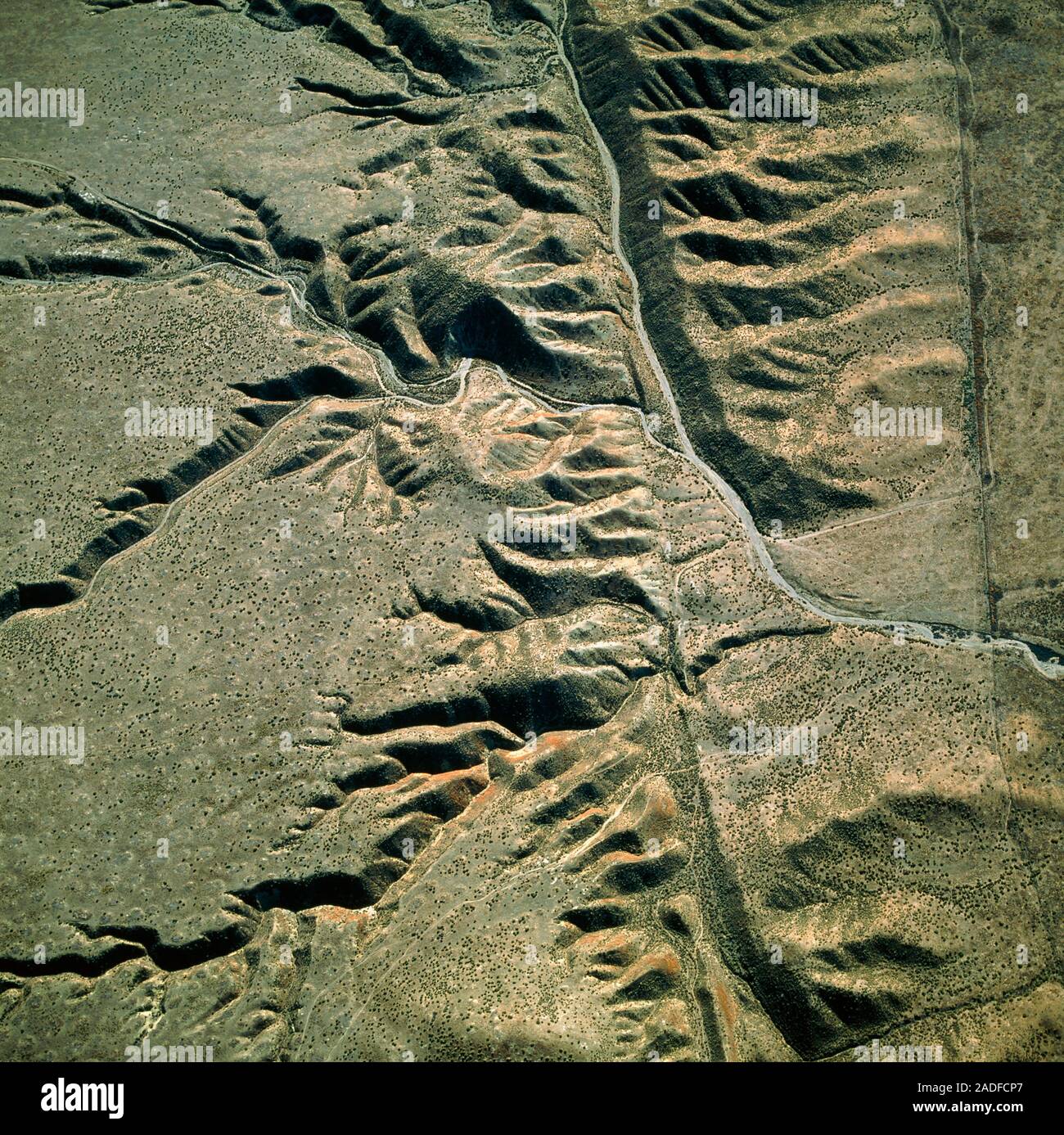 321 secousses en sept jours : La faille de San Andreas entre dans une phase critique inédite