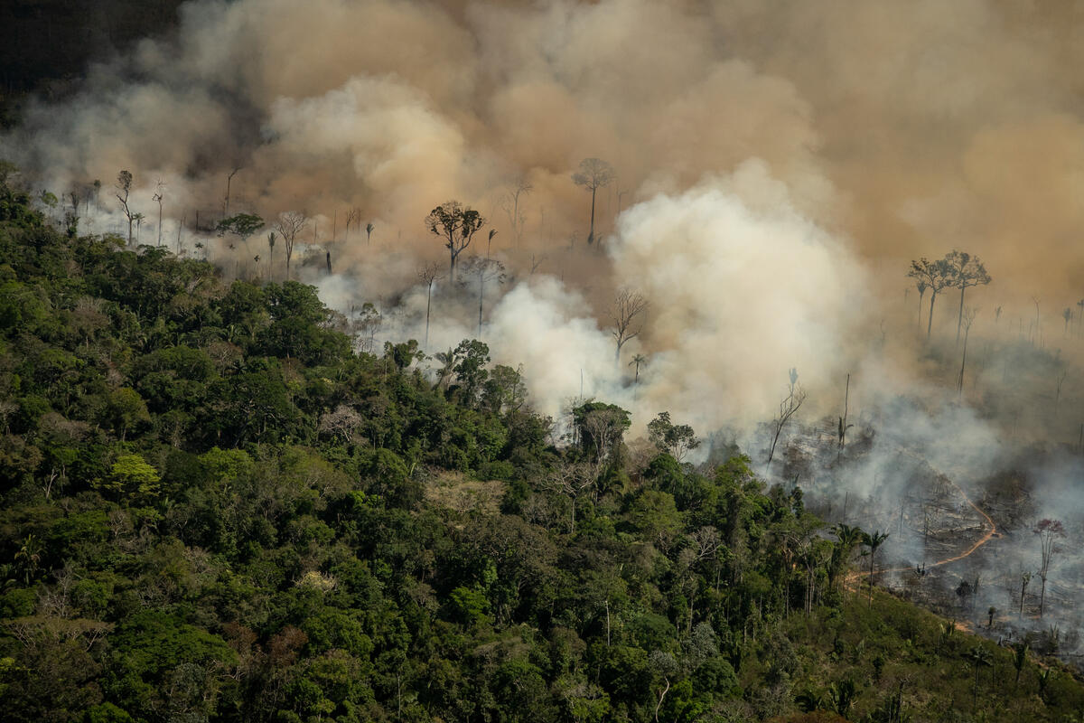 Une nouvelle ère pour l&rsquo;immigration : le Parlement européen vote un système d’expulsions radicales