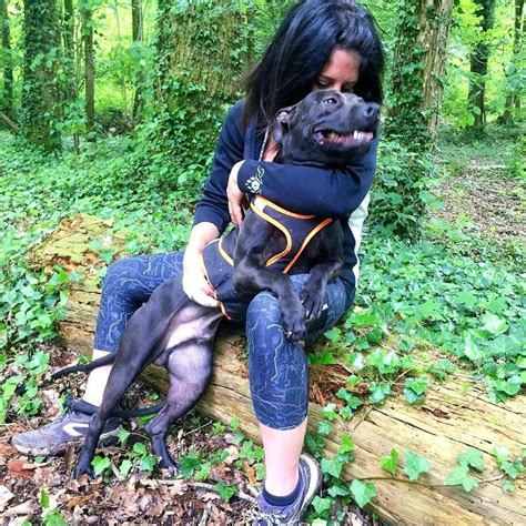Quand un chien devient l’ombre d’un drame : L’affaire Élisa Pilarski et ses répercussions