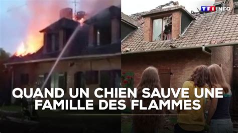 Des flammes et des secrets : deux jeunes dénoncés pour avoir allumé les incendies à Fontainebleau